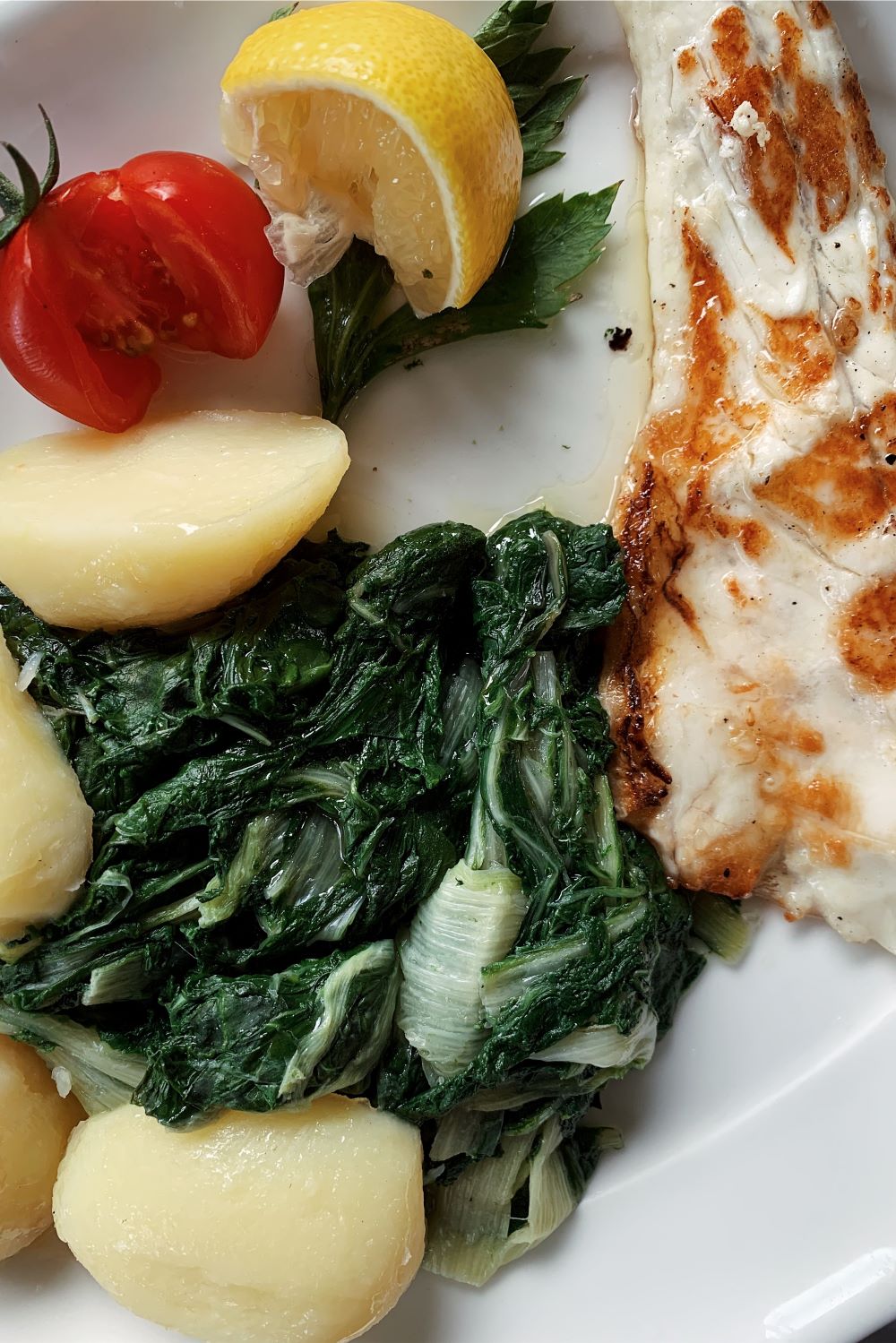 Traditional sea bass dish in Zagreb Croatia
